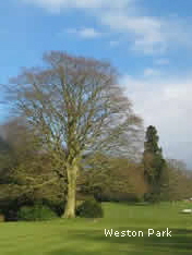 Weston Park