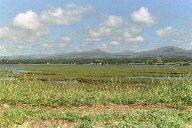 Mount Snowdon Mount Snowdon