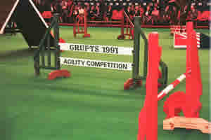 Agility 1991