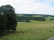 Harewood Parkland Harewood Parkland