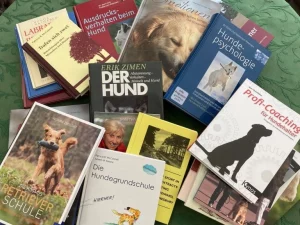 Herausforderungen -
Große Literatur-Auswahl